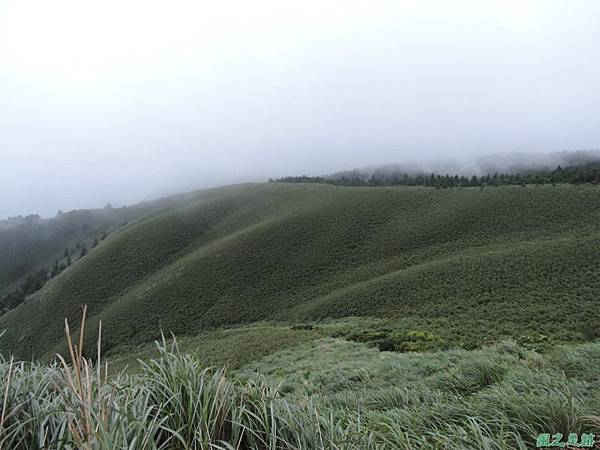 小觀音山環行20140524(276)