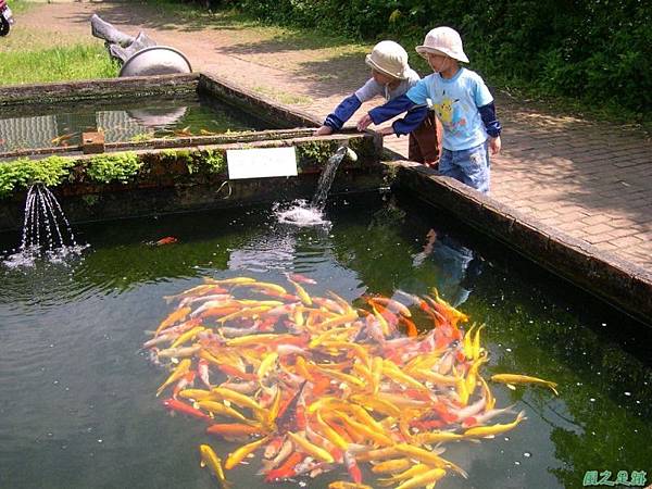 20050626生態園賞蝶3