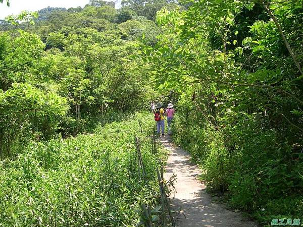 20050626生態園賞蝶34