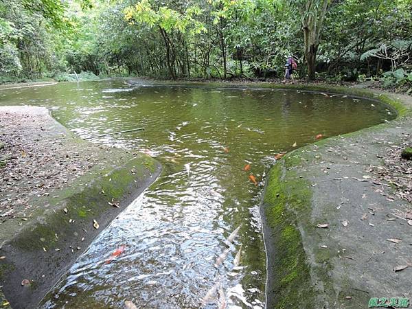 安康蝴蝶生態園20140713(55)