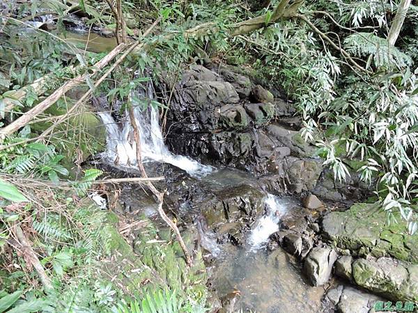 二叭子植物園20140713(3)