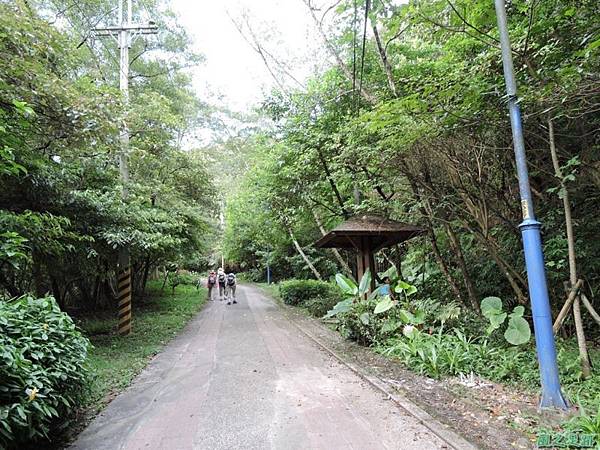 二叭子植物園20140713(21)