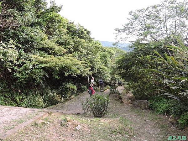 二叭子植物園20140713(41)