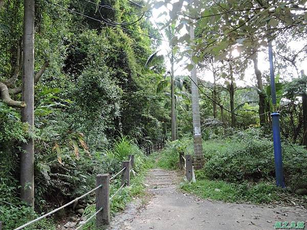 二叭子植物園20140713(49)