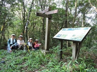 虎寮潭山20140705(57)