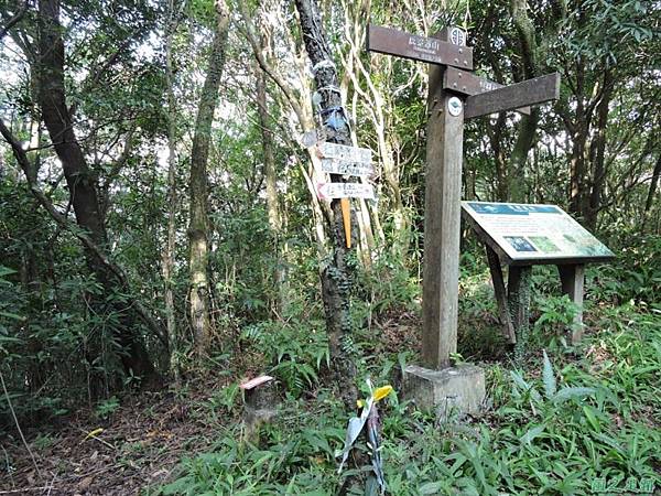 虎寮潭山20140705(58)