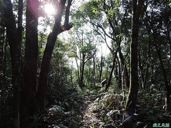 虎寮潭山20140705(61)