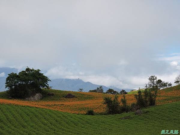 20140819六十石山(29)