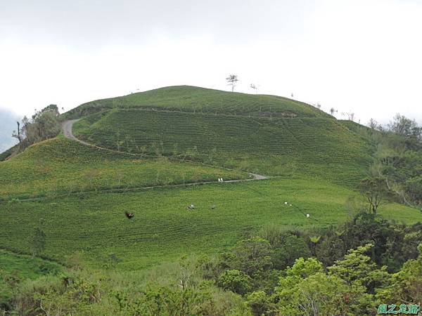 20140819六十石山(39)