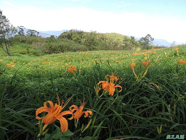 20140819六十石山(71)