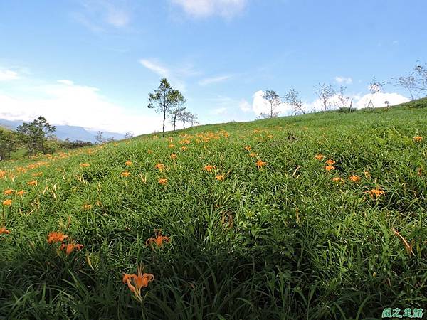 20140819六十石山(72)