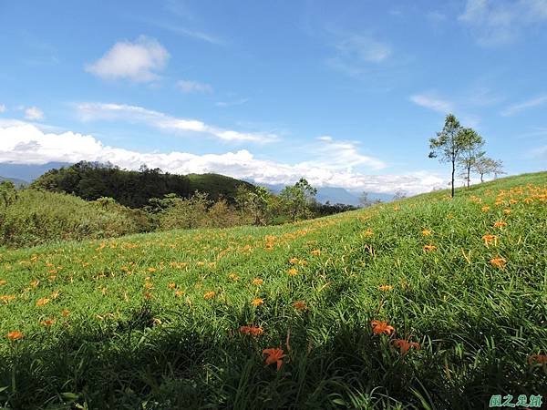 20140819六十石山(74)