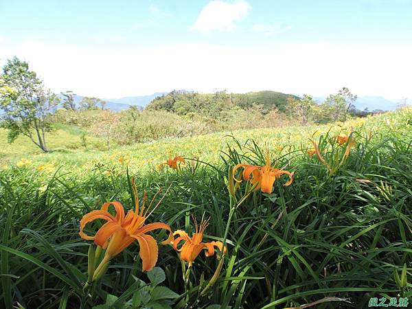 20140819六十石山(75)