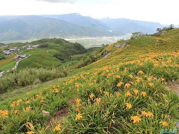 20140819六十石山(121)