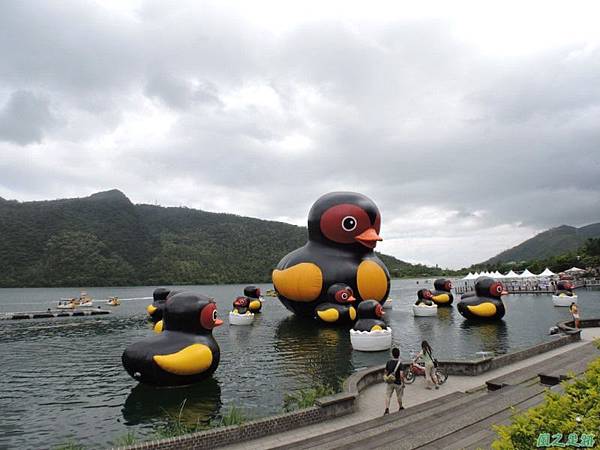 20140818花蓮鯉魚山 (90)