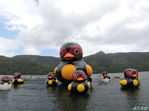 20140818花蓮鯉魚山 (93)