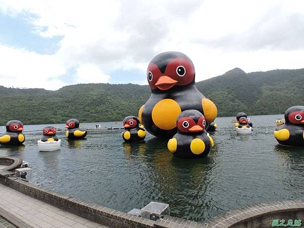 20140818花蓮鯉魚山 (94)