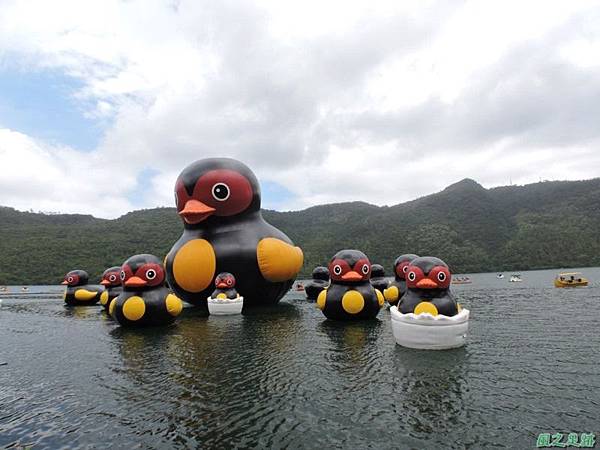 20140818花蓮鯉魚山 (95)