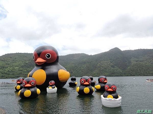 20140818花蓮鯉魚山 (98)