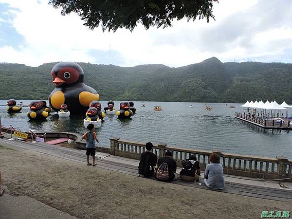 20140818花蓮鯉魚山 (113)