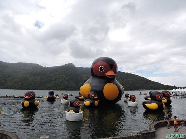 20140818花蓮鯉魚山 (116)