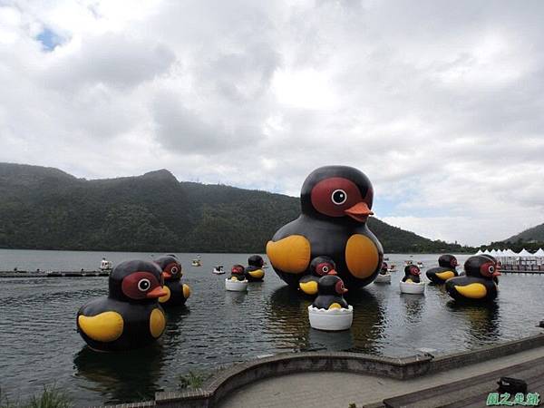 20140818花蓮鯉魚山 (118)