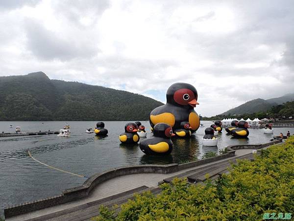 20140818花蓮鯉魚山 (120)