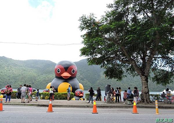 20140818花蓮鯉魚山 (129)