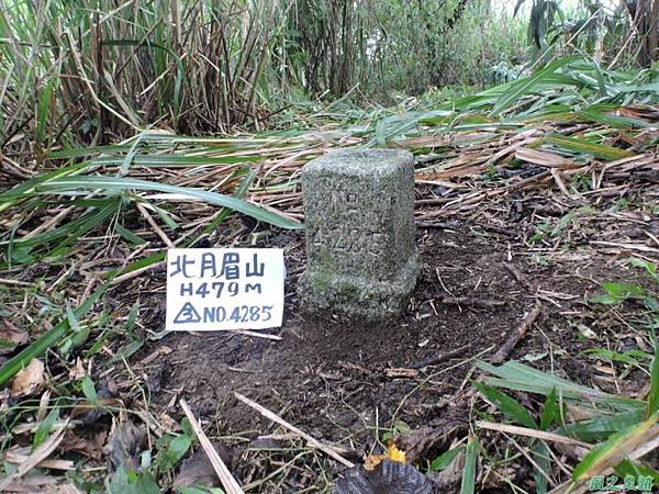 台灣鳳蝶20140817(1)