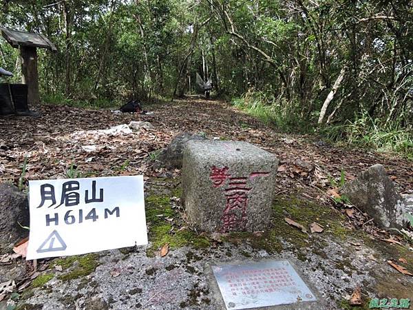 台灣鳳蝶20140817(30)