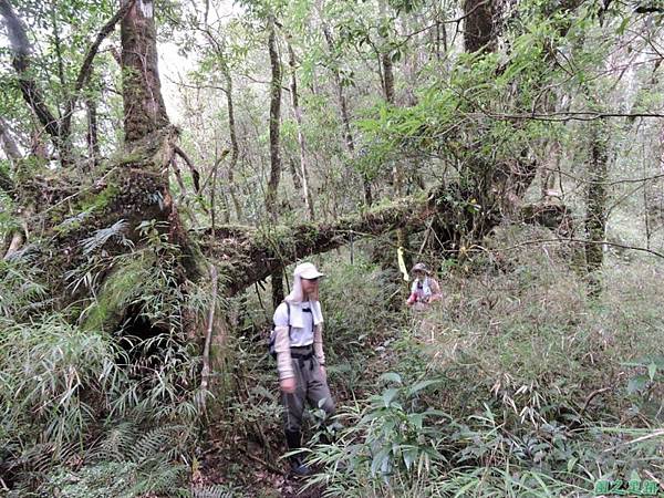 20140906婆羅山(51)