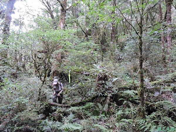 20140906婆羅山(52)