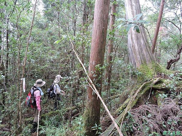 20140906婆羅山(56)