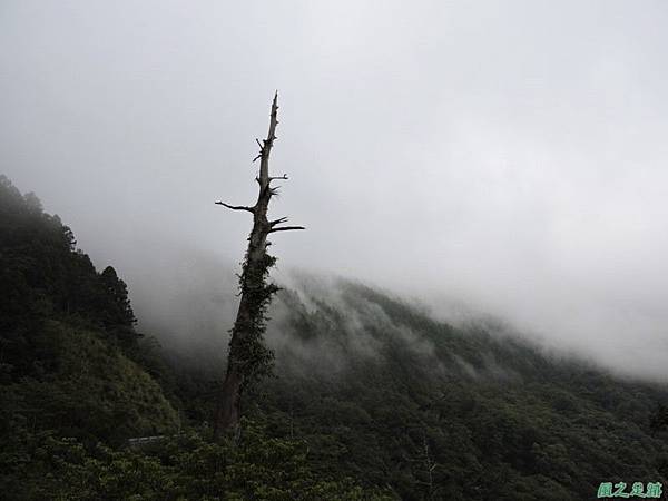 20140906婆羅山(66)