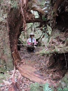 20140906婆羅山(61)