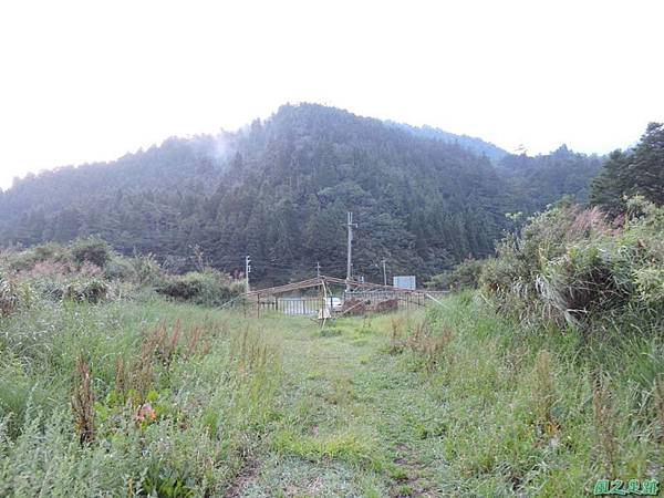 羅葉尾山20140907(6)