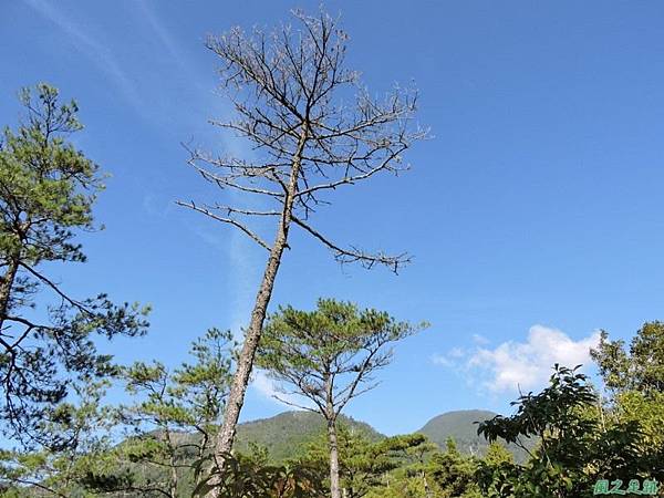 羅葉尾山20140907(48)