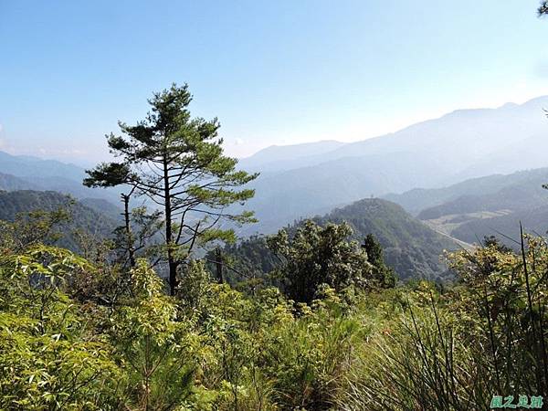 羅葉尾山20140907(73)