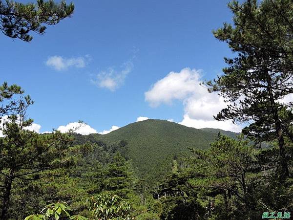 羅葉尾山20140907(108)