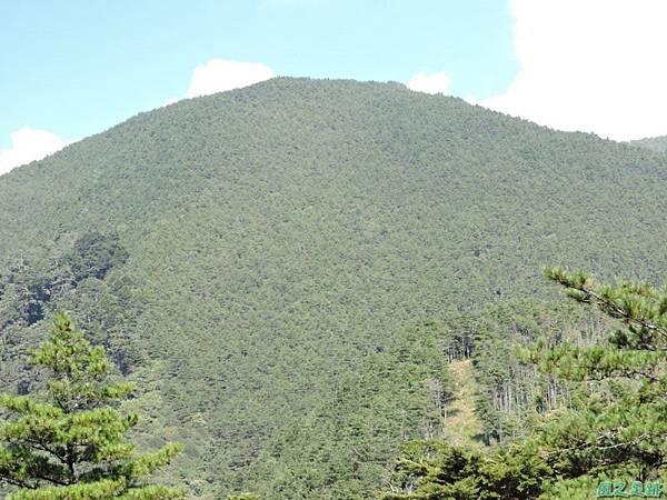 羅葉尾山20140907(109)