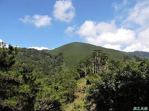 羅葉尾山20140907(110)