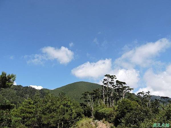 羅葉尾山20140907(112)