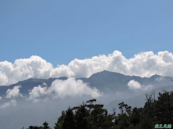 羅葉尾山20140907(123)