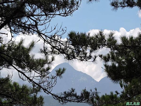 羅葉尾山20140907(132)