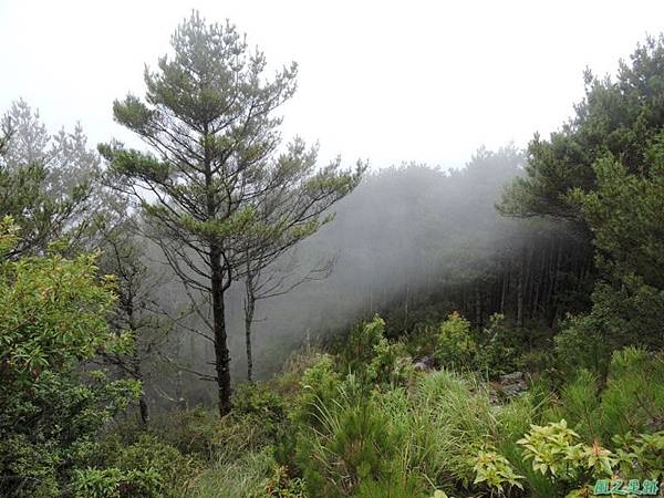 羅葉尾山20140907(157)