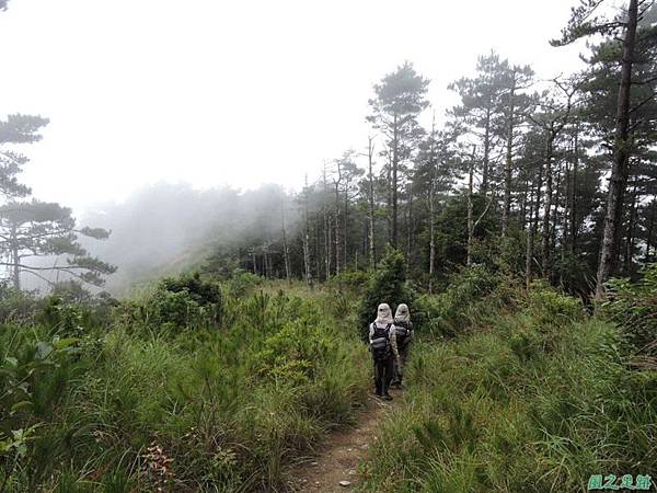 羅葉尾山20140907(170)