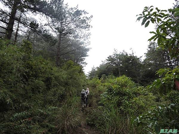 羅葉尾山20140907(174)