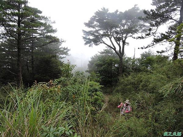 羅葉尾山20140907(176)