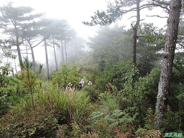 羅葉尾山20140907(178)