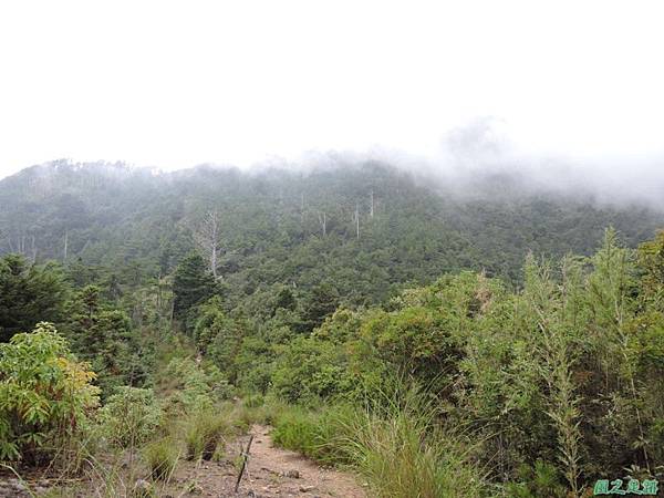 羅葉尾山20140907(181)